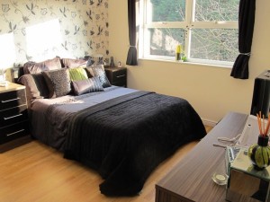 Carpenter Guildford Laminate Flooring Installation